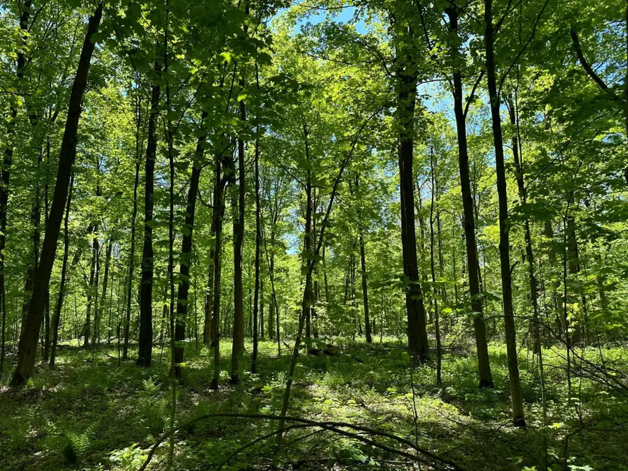 100AC ON 28th Ave N, Maine, WI 54452 - Image #3