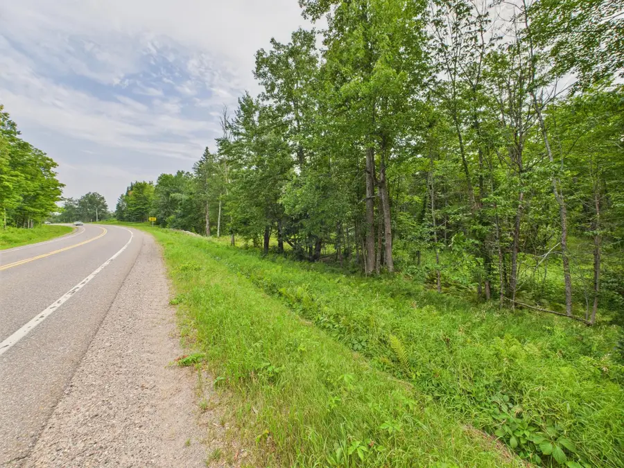 36.5 ac Hwy 139, Newald, WI 54511 - Image #3