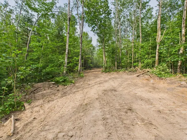40 Ac Ison Rd, Crandon, WI 54520