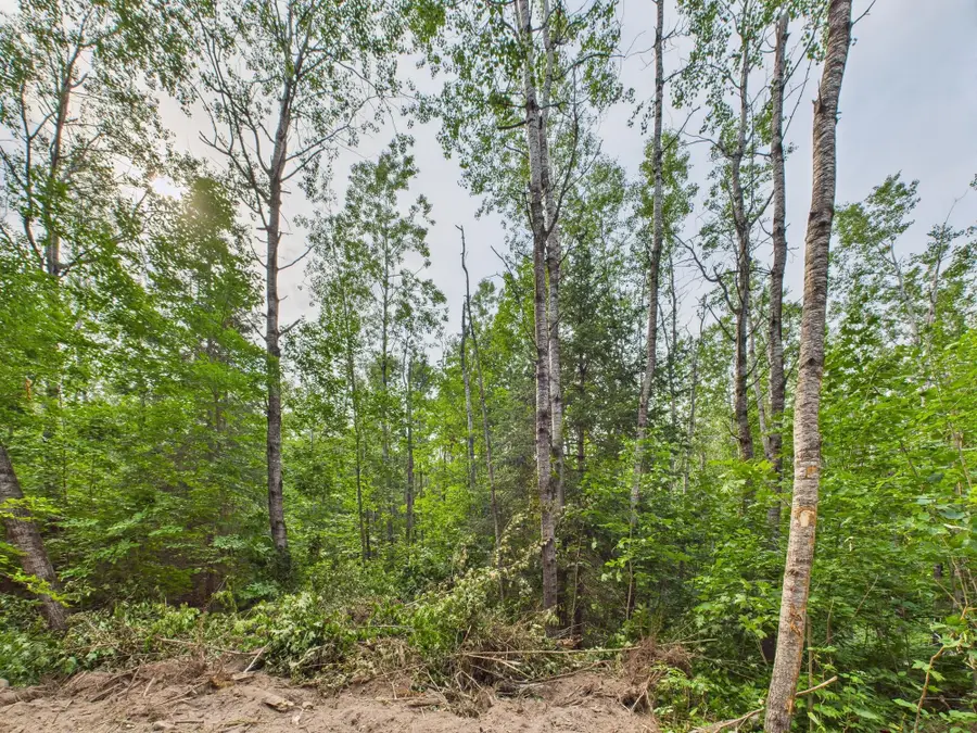 40 Ac Ison Rd, Crandon, WI 54520 - Image #3