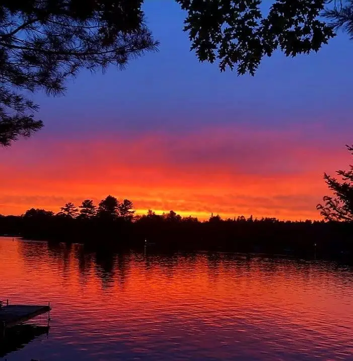 1428 Halberstadt Rd, Saint Germain, WI 54558 - Image #2