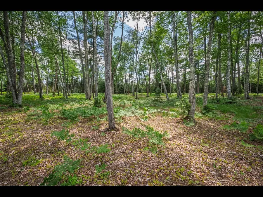 Lot 163 Clearwater Lake Tr, Eagle River, WI 54521 - Image #3
