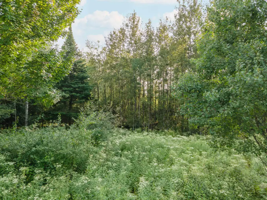 TBD Madison St W, Iron River, MI 49935 - #3