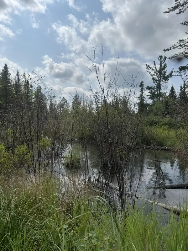 ON Malvern Fire Ln, Rhinelander, WI 54501