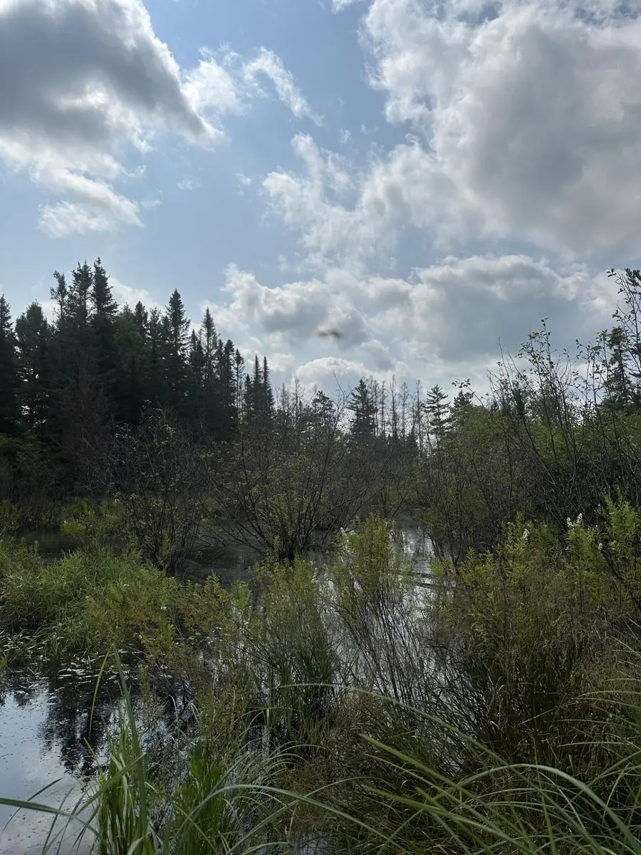 ON Malvern Fire Ln, Rhinelander, WI 54501 - Image #2