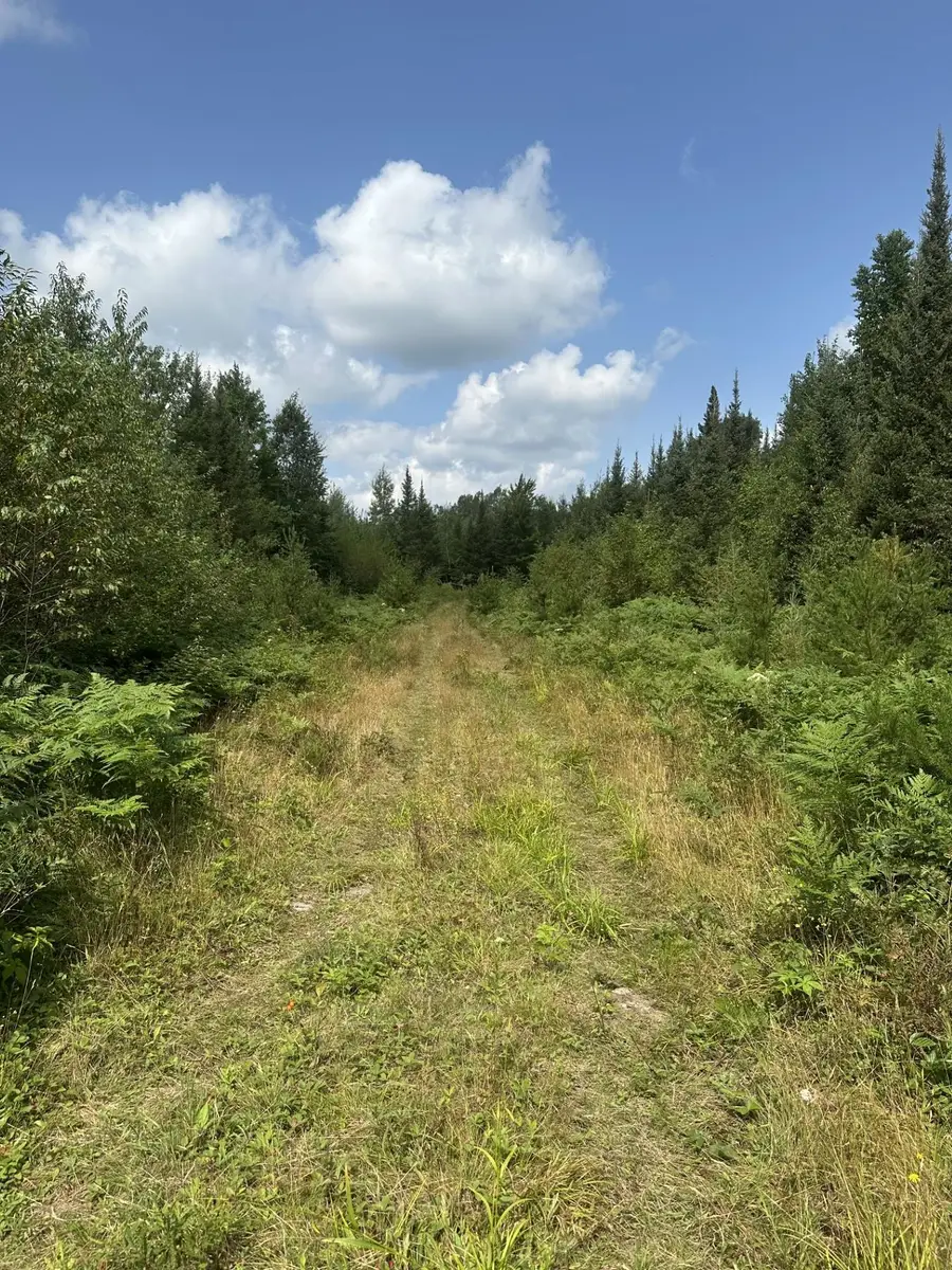 ON Malvern Fire Ln, Rhinelander, WI 54501 - Image #3