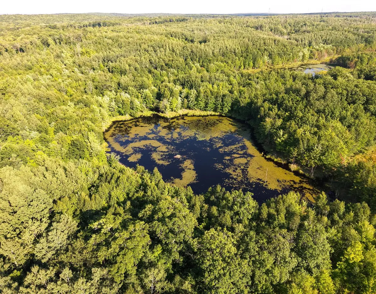 Parcel 3 West Y Rd, Exeland, WI 54835 - Image #1