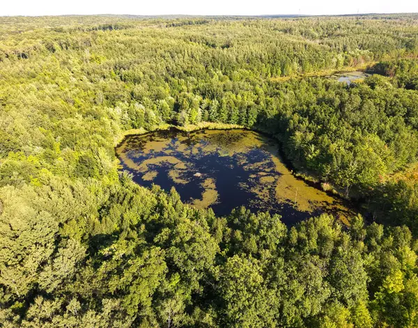 Parcel 3 West Y Rd, Exeland, WI 54835