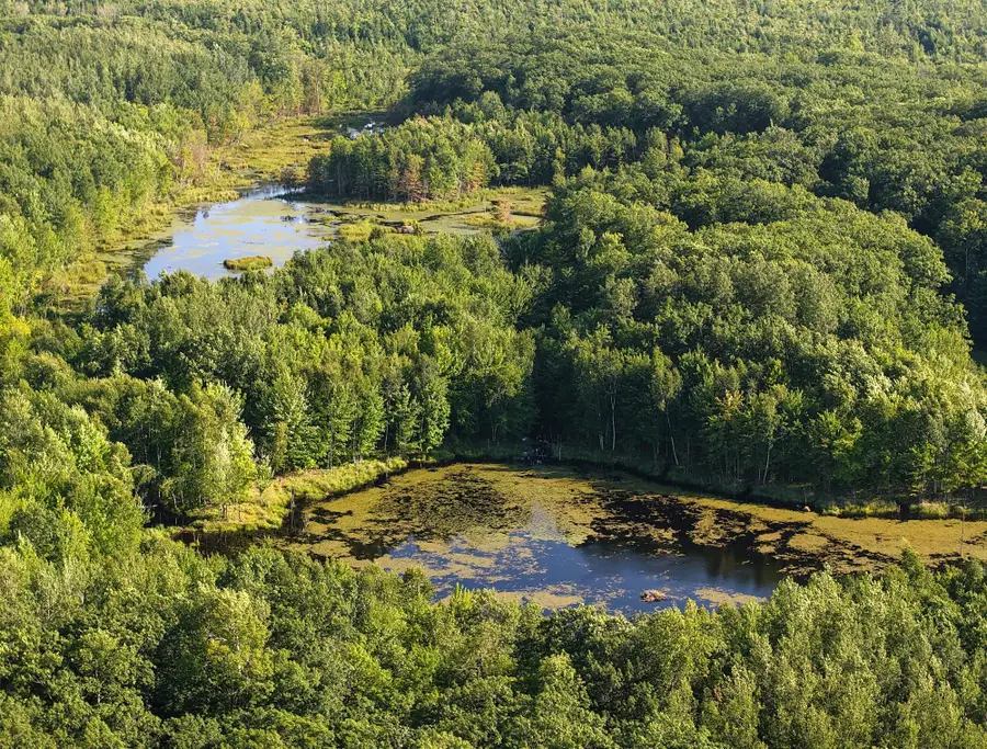 Parcel 3 West Y Rd, Exeland, WI 54835 - Image #2