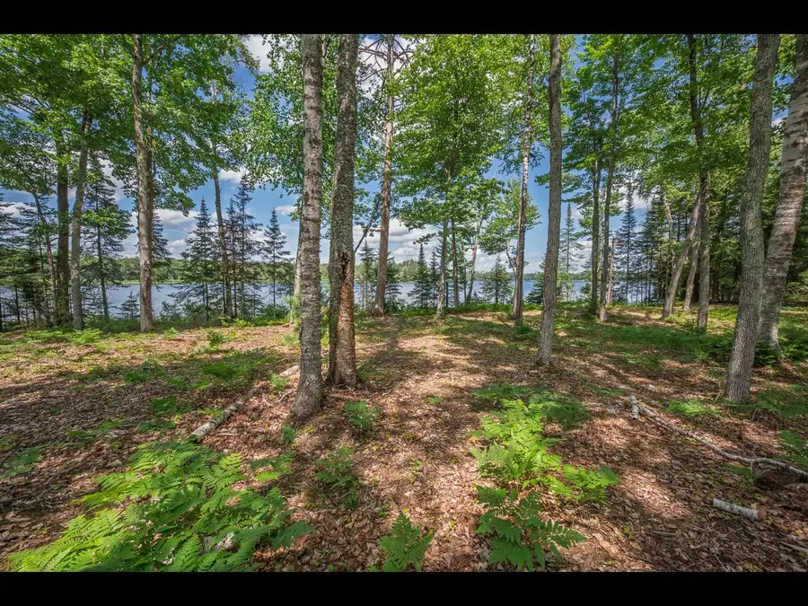 Lot 164 Clearwater Lake Tr, Eagle River, WI 54521 - Image #2