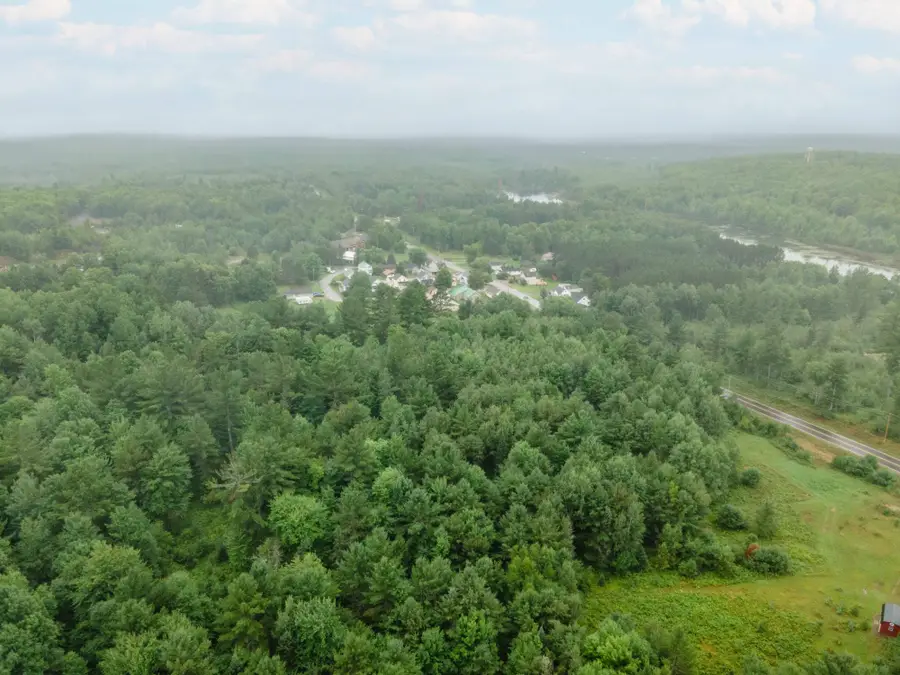 TBD Homer Rd, Iron River, MI 49935 - #2