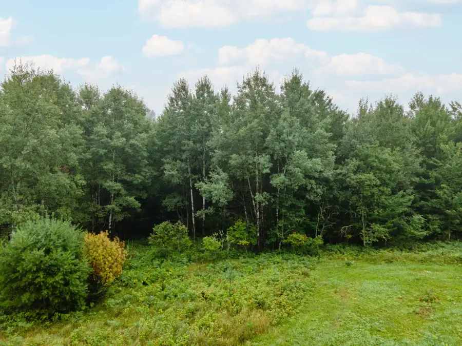 TBD Homer Rd, Iron River, MI 49935 - #3