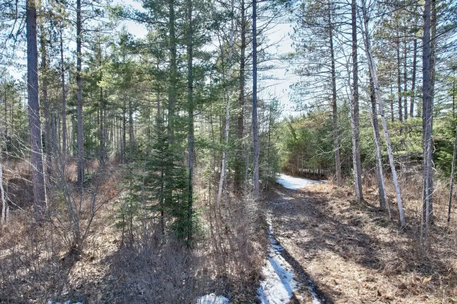 20 ac Spirit Wood Tr, Land O Lakes, WI 54540 - Image #2