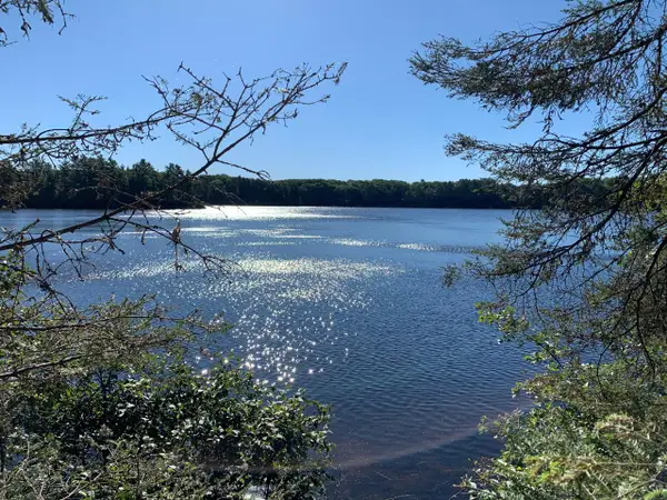 Off Knuth Ln #lot 5 & 6, Land O' Lakes, WI 54540