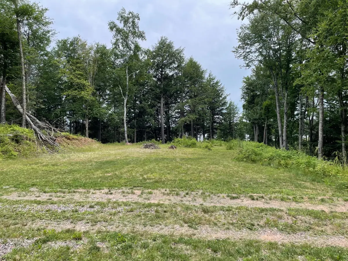 Lot 4 Cisco Lake Rd E, Watersmeet, MI 49969 - Image #1