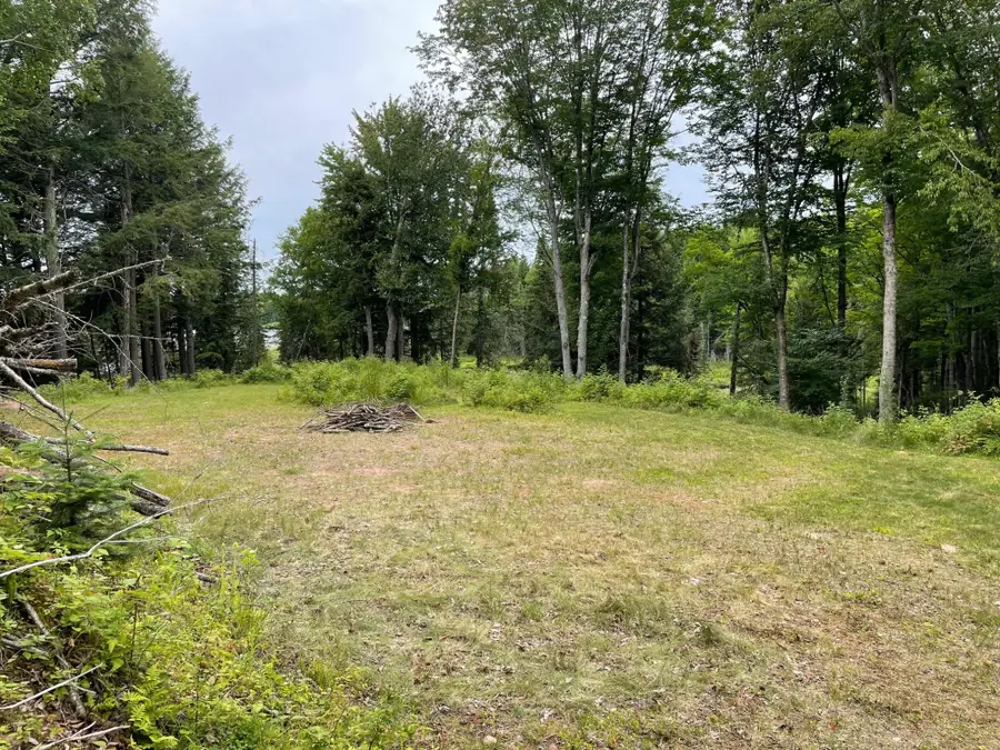 Lot 4 Cisco Lake Rd E, Watersmeet, MI 49969 - Image #2