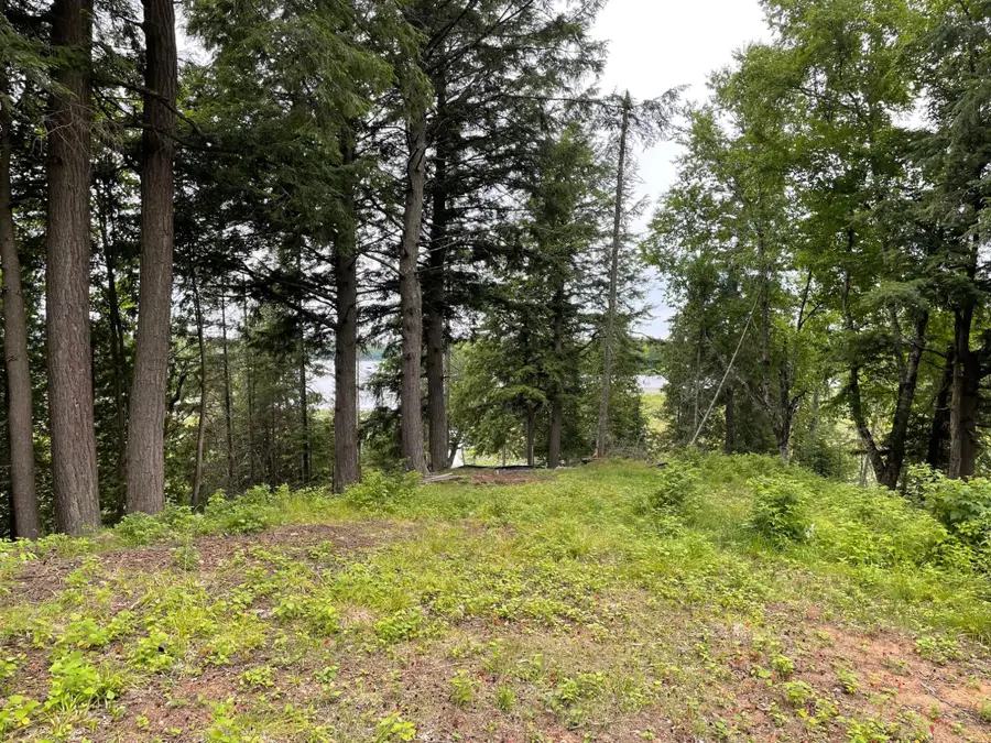 Lot 4 Cisco Lake Rd E, Watersmeet, MI 49969 - Image #3