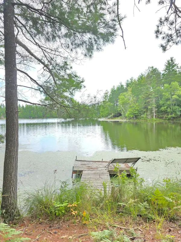 8659N Blue Gill Lake Rd, Winter, WI 54896