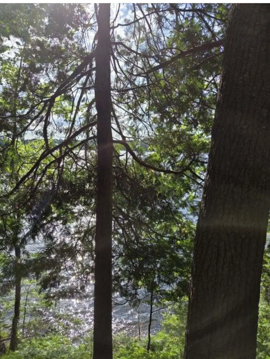 TBD Paint Lake Rd W, Iron River, MI 49935 - Image #2