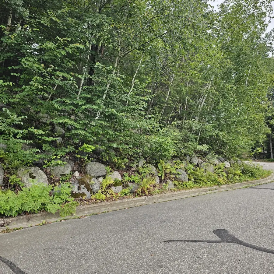 Lot 6 Riverglen Ave, Rhinelander, WI 54501 - Image #3