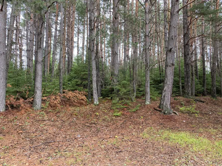 40 AC On Margaret Lake Rd, Three Lakes, WI 54562 - Image #2