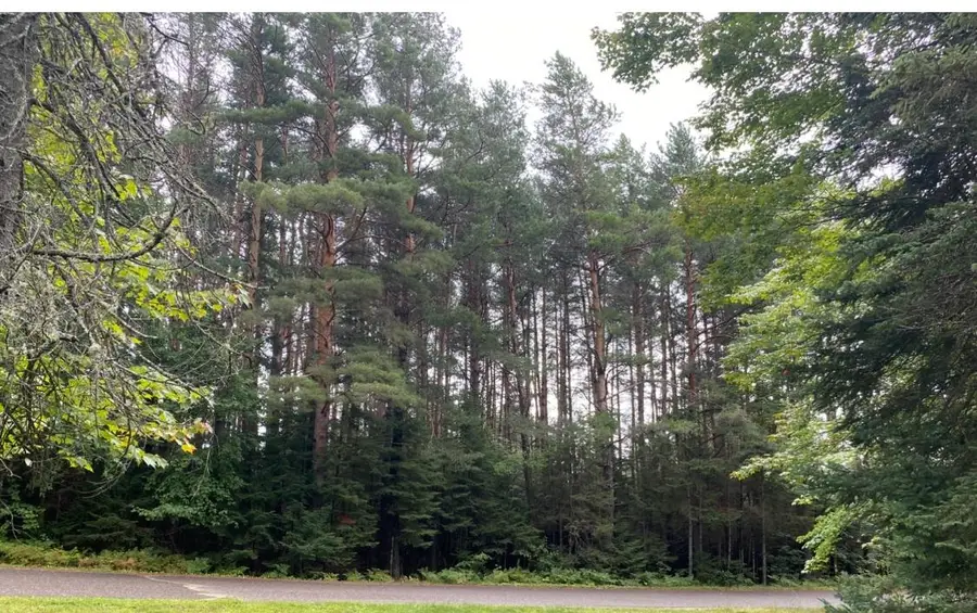 40 AC On Margaret Lake Rd, Three Lakes, WI 54562 - Image #3