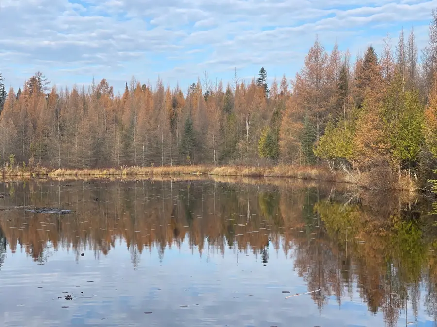 14463 Angel Crest Ln, Lakewood, WI 54138 - Image #2