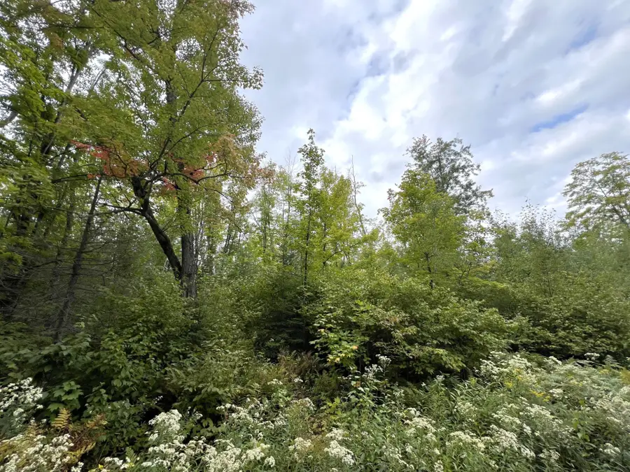 5.56ac Star Lake Rd, Crandon, WI 54520 - Image #3