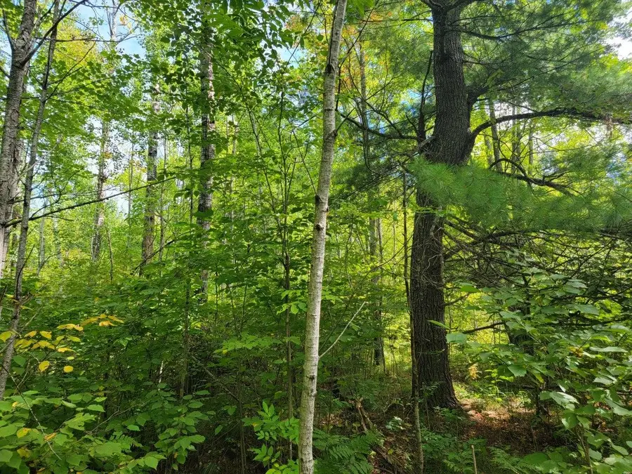 ON Cemetery Rd, Radisson, WI 54867 - Image #2