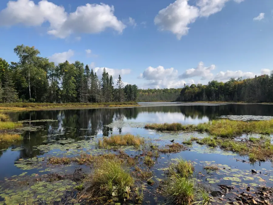 8549 Crawford Lake Rd, Presque Isle, WI 54557 - Image #3