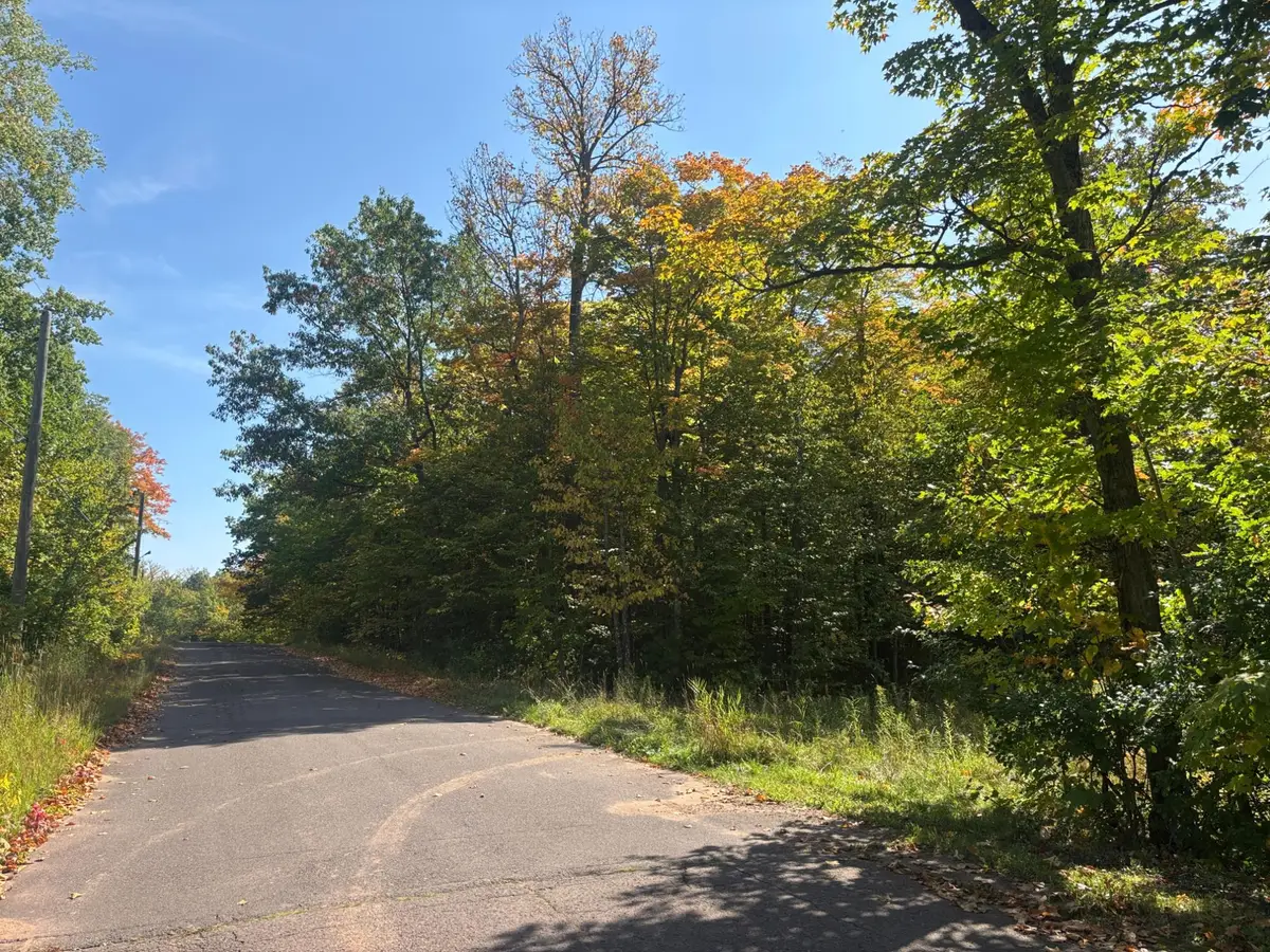 TBD Plymouth Rd, Wakefield, MI 49968 - Image #1