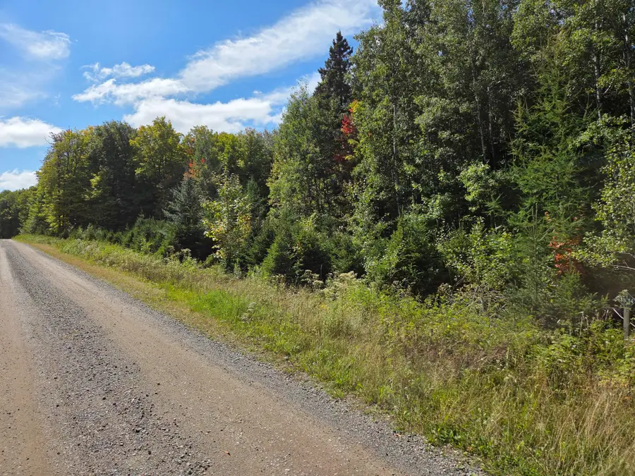 ON Elizabeth Ln #19 AC, Iron River, MI 49935 - Image #3