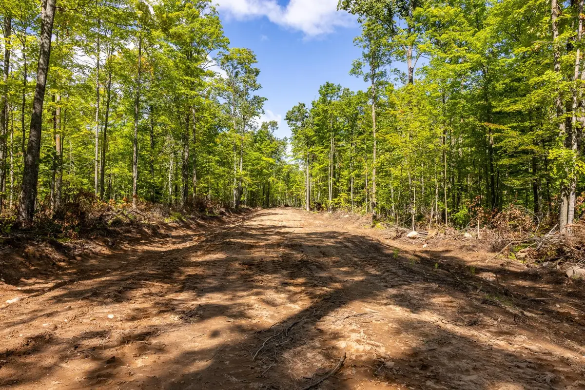 40 Acres Ison Rd, Crandon, WI 54520 - Image #1