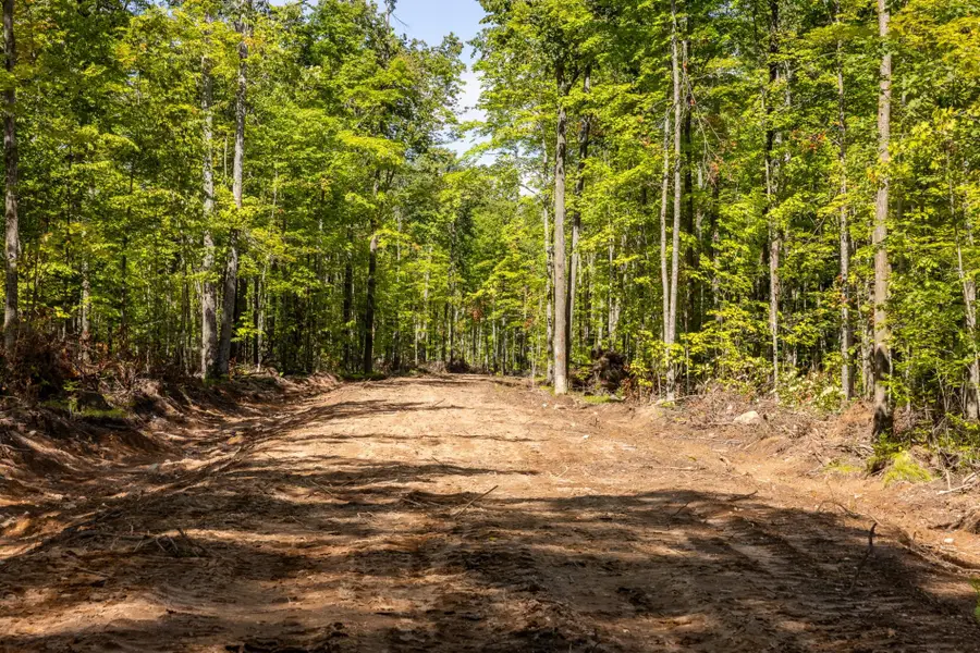 40 Acres Ison Rd, Crandon, WI 54520 - Image #2