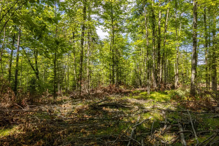 40 Acres Ison Rd, Crandon, WI 54520 - Image #3