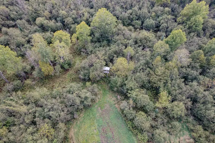 40 Acres Lincoln Dr, Tomahawk, WI 54487 - Image #2