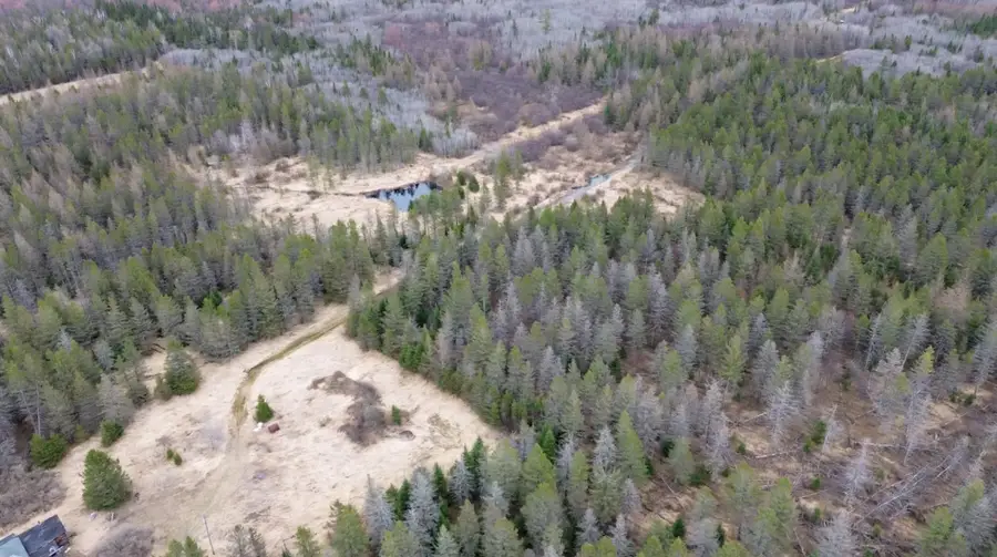 N6569 Town Forest Rd, Deerbrook, WI 54424 - Image #3