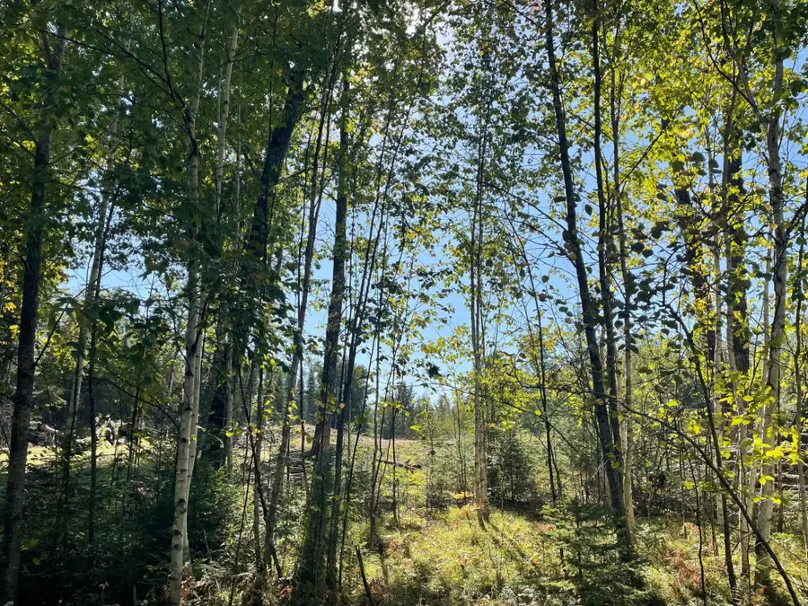 ON Angel Crest Ln, Lakewood, WI 54138 - #2