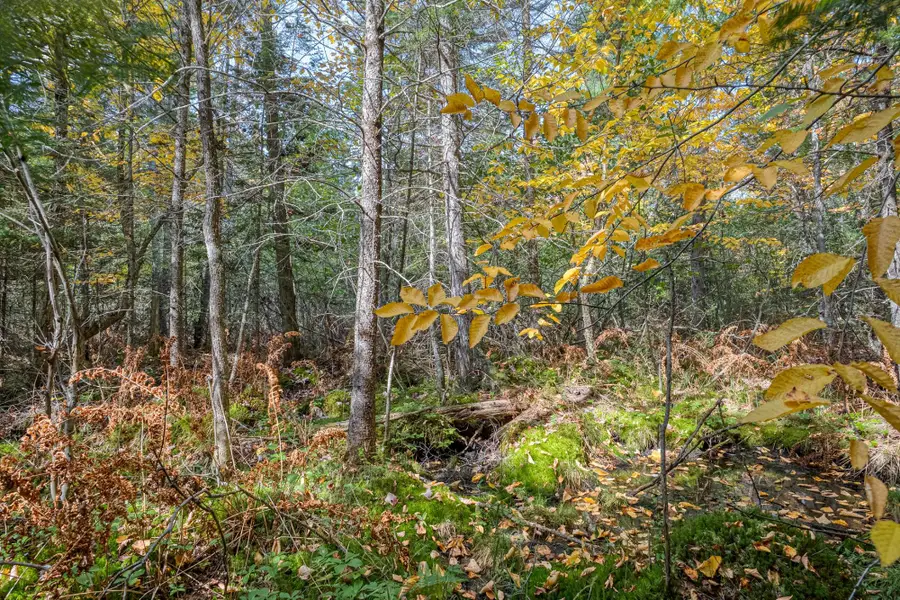 Off Turtle Lake Rd S #S5, Winchester, WI 54557 - Image #3