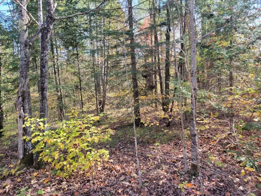 3789W Indian Way, Winter, WI 54896 - Image #3