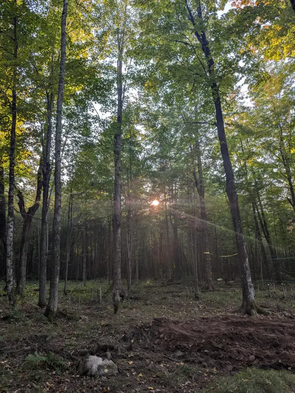 N2173 Meridian Rd, Catawba, WI 54556