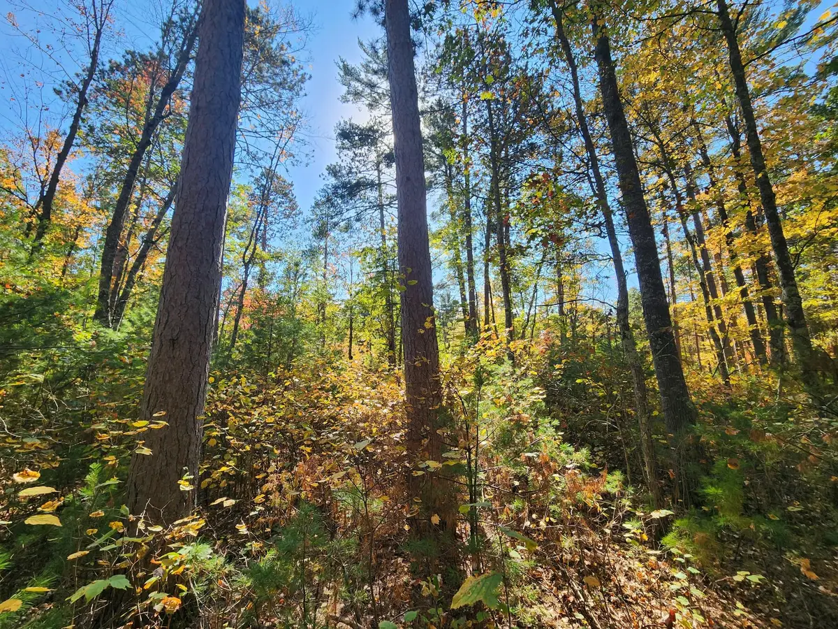 1.7 AC Hwy 70, Saint Germain, WI 54558 - Image #1