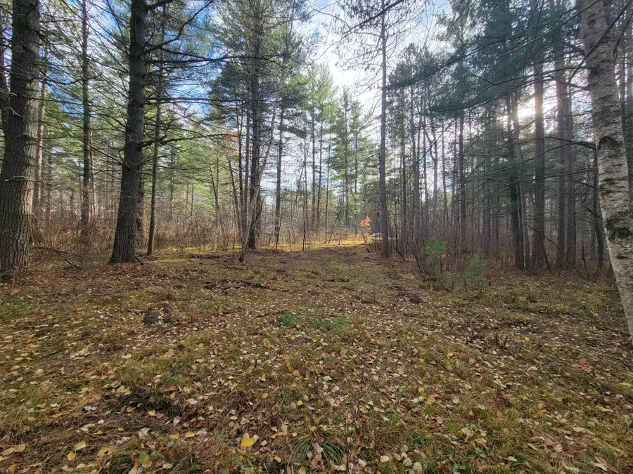 LOT 10 Charles Ct, Hazelhurst, WI 54531 - Image #2