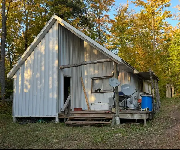 Off Forest Rd 250, Bergland, MI 49947