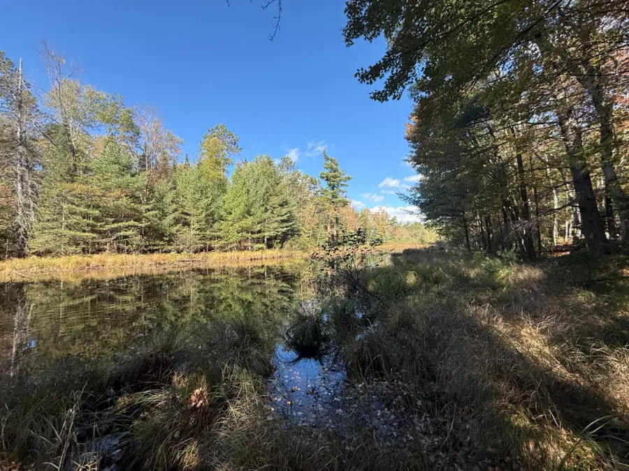 1 Acre Highlander Rd, Rhinelander, WI 54501 - Image #3