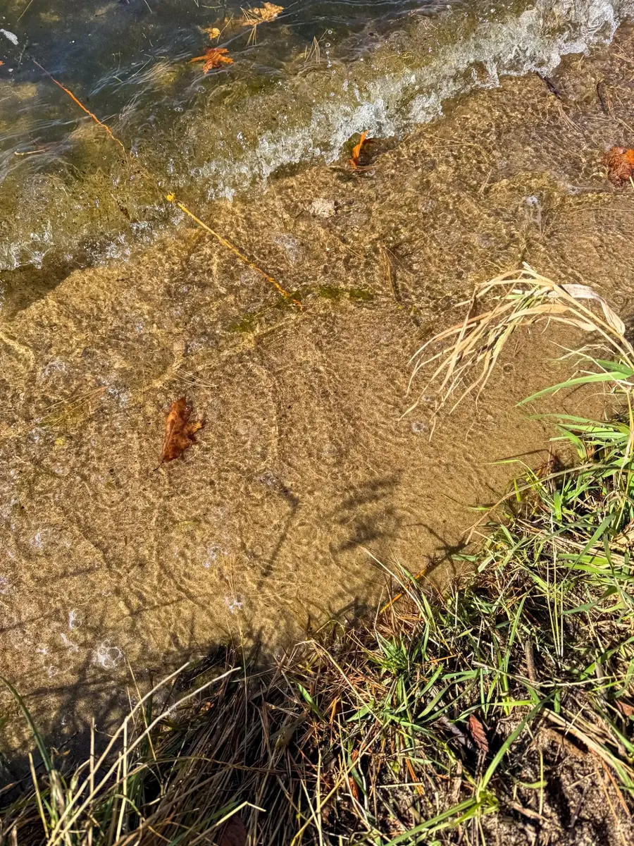 Lot 1 Bear Run Ln, Saint Germain, WI 54558 - Image #3