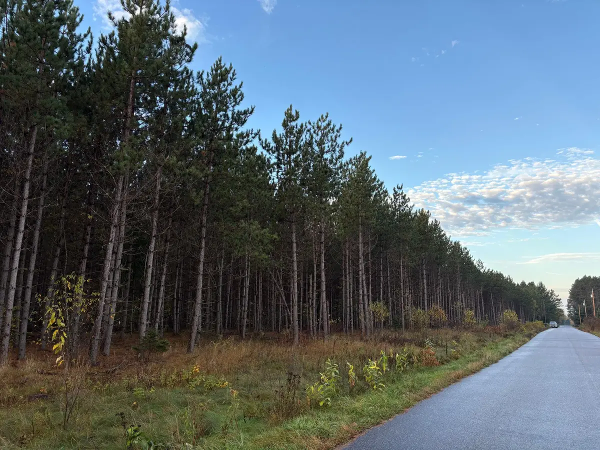 Lot 3 Plantation Rd, Pelican Lake, WI 54463 - Image #1
