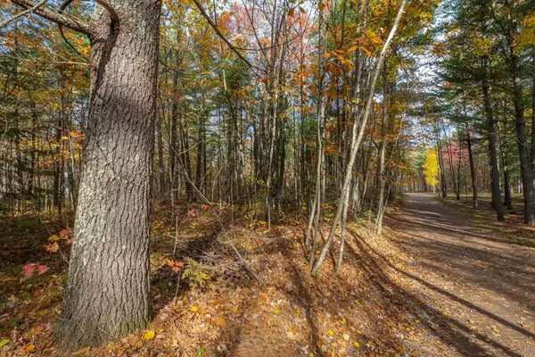 Off Blue Sky Ln #16, Lac du Flambeau, WI 54538