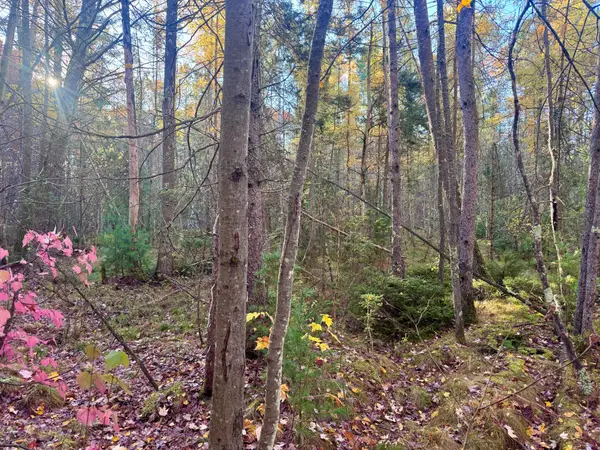 11469 Dale Ct, Minocqua, WI 54548