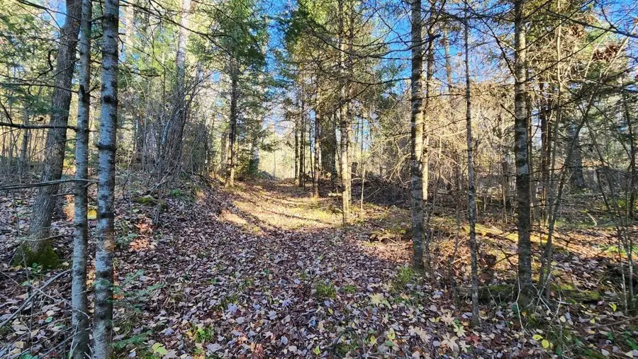 N13275 Fork Rd N, Park Falls, WI 54552 - Image #3